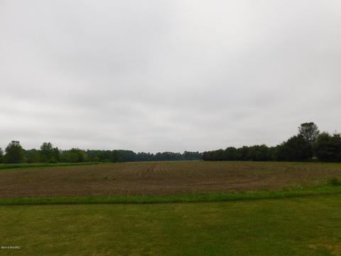 13410 E P Ave, Climax, MI 49034 photo 36