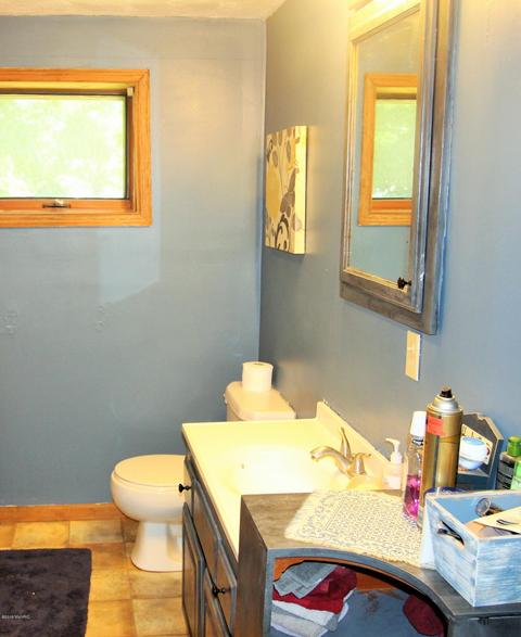 246 E Catherine St, Bellevue, MI 49021 photo 11