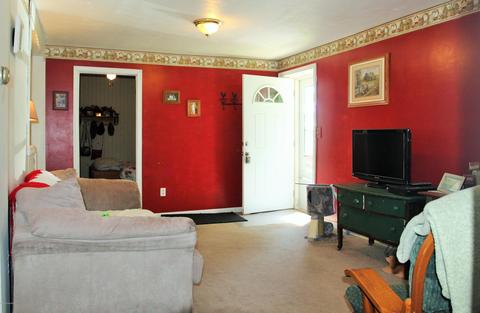 246 E Catherine St, Bellevue, MI 49021 photo 10