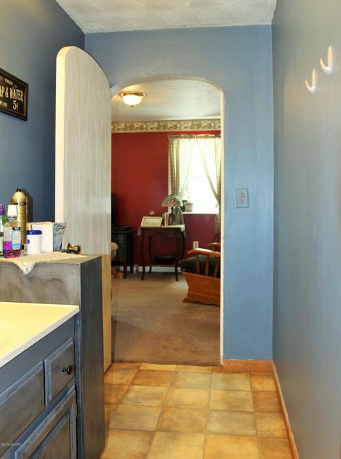 246 E Catherine St, Bellevue, MI 49021 photo 12