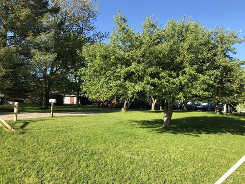 1712 S Stephens Rd, Custer, MI 49405 photo 22