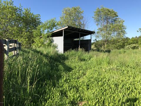 1712 S Stephens Rd, Custer, MI 49405 photo 21