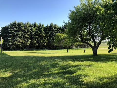 1712 S Stephens Rd, Custer, MI 49405 photo 24