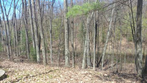 9228 Feeder, Baldwin, MI 49304 photo 6