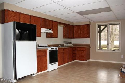 1010 E Pakes Rd, Stanton, MI 48888 photo 18