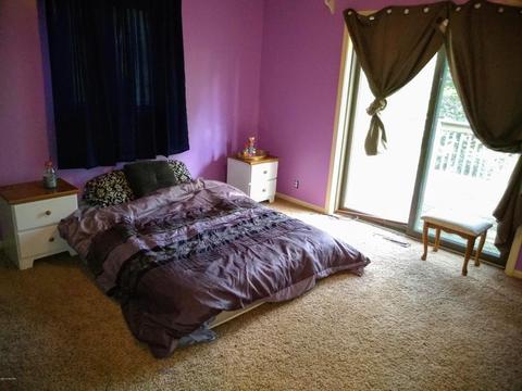 1010 E Pakes Rd, Stanton, MI 48888 photo 14