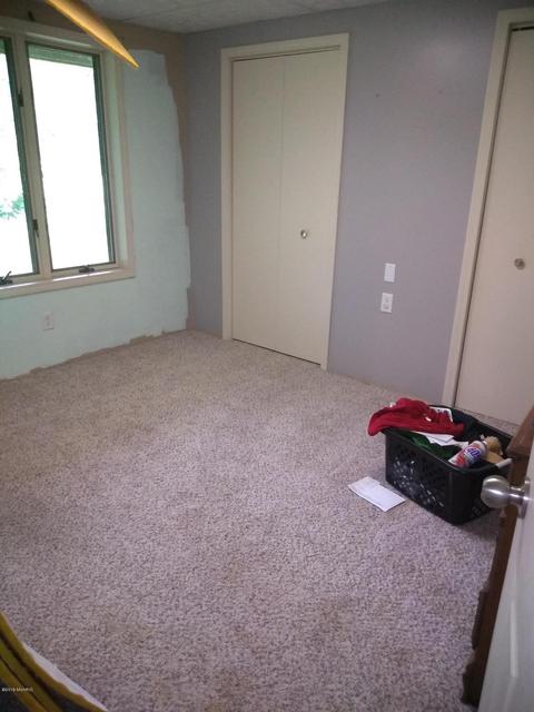 1010 E Pakes Rd, Stanton, MI 48888 photo 19
