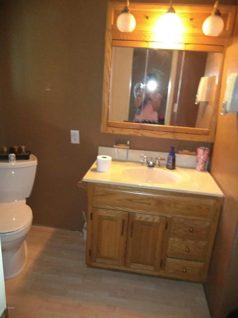 1010 E Pakes Rd, Stanton, MI 48888 photo 22