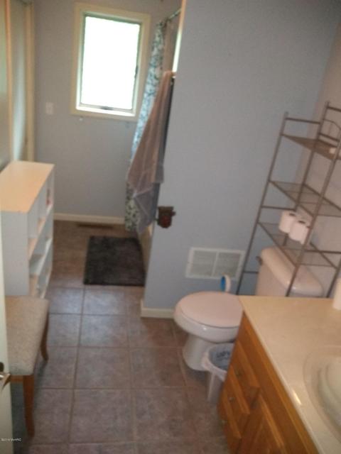 1010 E Pakes Rd, Stanton, MI 48888 photo 10
