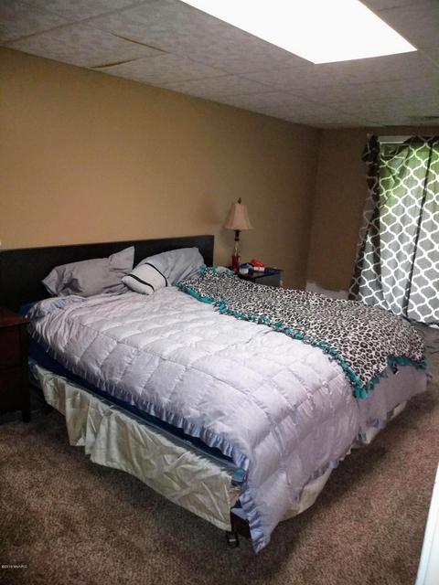 1010 E Pakes Rd, Stanton, MI 48888 photo 21