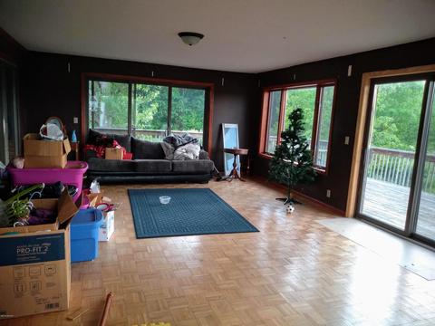 1010 E Pakes Rd, Stanton, MI 48888 photo 9