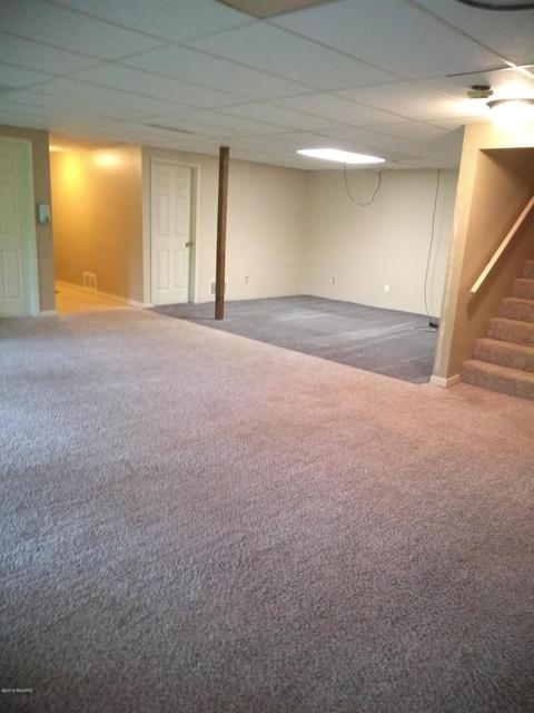 1010 E Pakes Rd, Stanton, MI 48888 photo 23