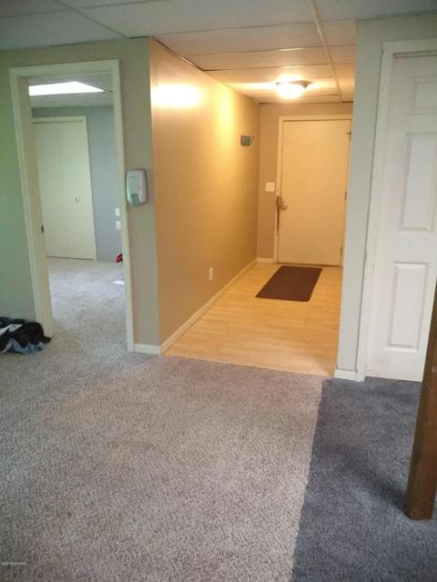1010 E Pakes Rd, Stanton, MI 48888 photo 20