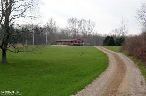 1010 E Pakes Rd, Stanton, MI 48888 photo 2