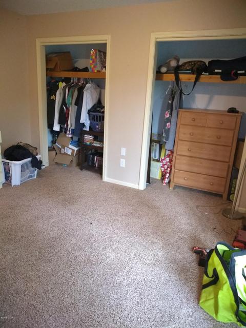 1010 E Pakes Rd, Stanton, MI 48888 photo 13
