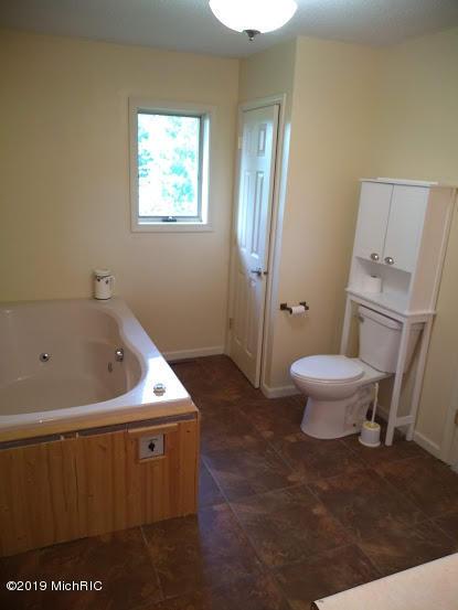 1010 E Pakes Rd, Stanton, MI 48888 photo 11