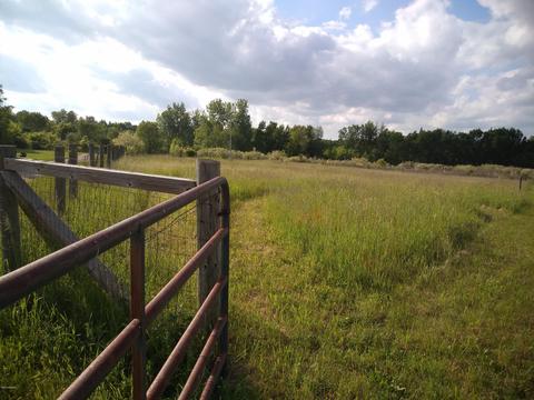 1010 E Pakes Rd, Stanton, MI 48888 photo 26