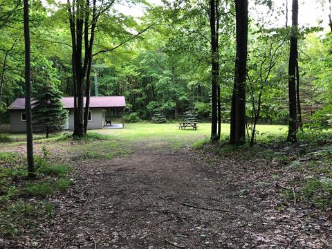 7815 E 2 Mile Rd, White Cloud, MI 49349 photo 23