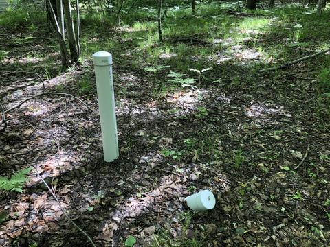 7815 E 2 Mile Rd, White Cloud, MI 49349 photo 25
