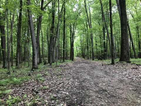 7815 E 2 Mile Rd, White Cloud, MI 49349 photo 24
