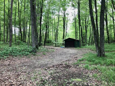 7815 E 2 Mile Rd, White Cloud, MI 49349 photo 20