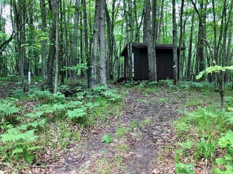 7815 E 2 Mile Rd, White Cloud, MI 49349 photo 16