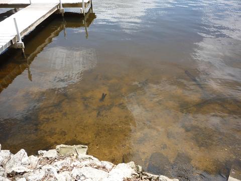 23109 River Run Rd, Mendon, MI 49072 photo 32