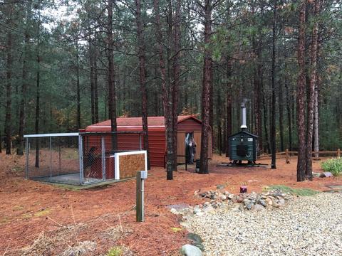 2520 S Pine Ave, White Cloud, MI 49349 photo 9