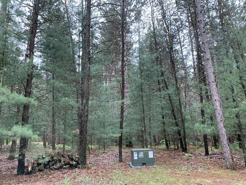 2520 S Pine Ave, White Cloud, MI 49349 photo 42