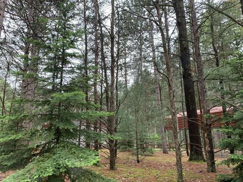 2520 S Pine Ave, White Cloud, MI 49349 photo 41