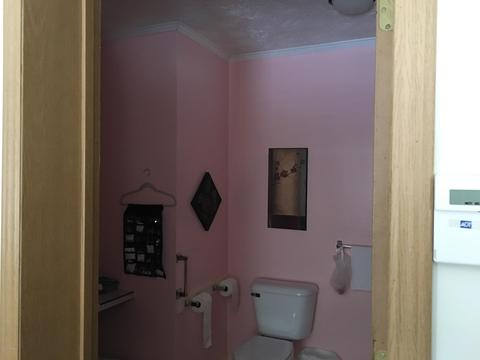 2520 S Pine Ave, White Cloud, MI 49349 photo 31