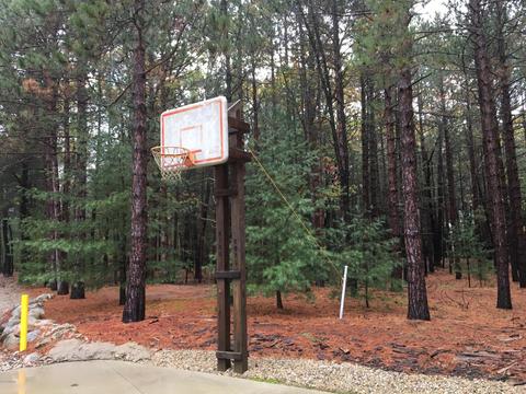 2520 S Pine Ave, White Cloud, MI 49349 photo 34