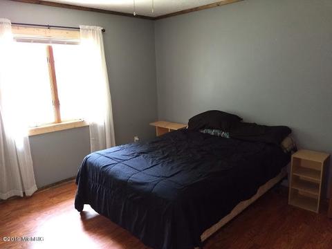 5017 E Tamarack Rd, Edmore, MI 48829 photo 10