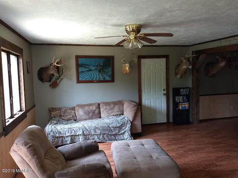 5017 E Tamarack Rd, Edmore, MI 48829 photo 6