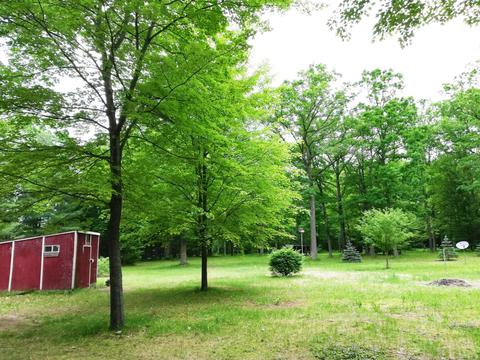1731 Willow St, White Cloud, MI 49349 photo 17