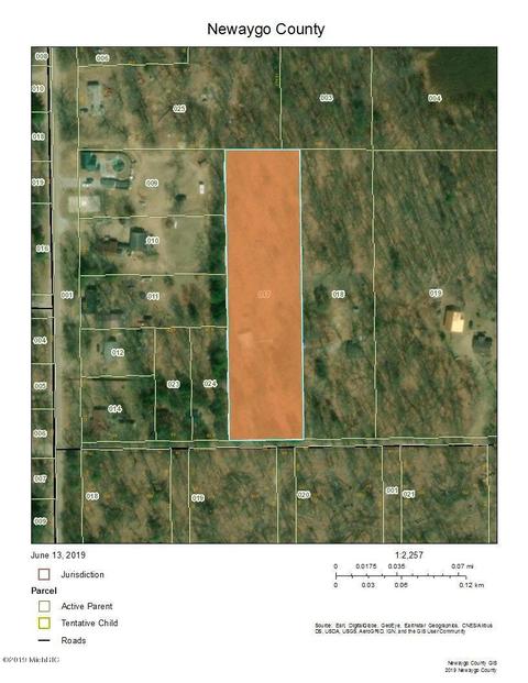 1731 Willow St, White Cloud, MI 49349 photo 2