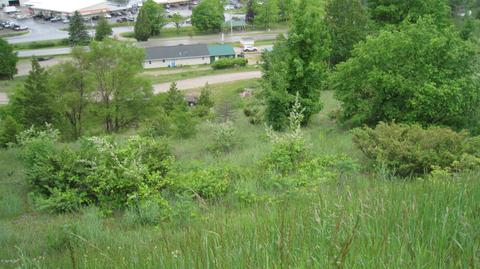 10700 Deadstream Road Rd, Honor, MI 49640 photo 20