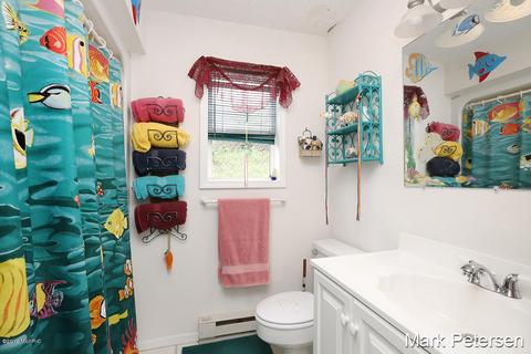 711 Thompson Dr, Stanton, MI 48888 photo 20