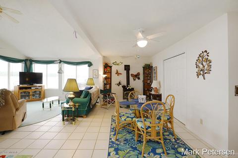 711 Thompson Dr, Stanton, MI 48888 photo 11