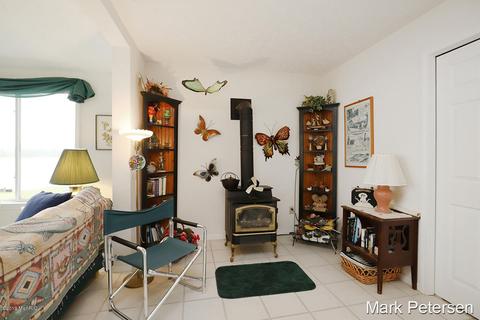 711 Thompson Dr, Stanton, MI 48888 photo 12
