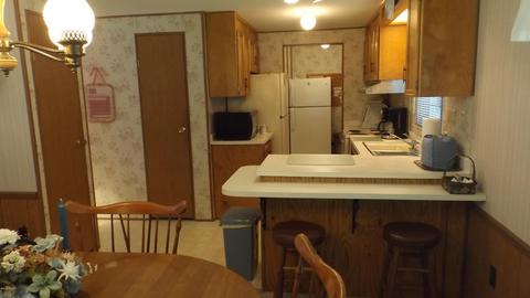 3171 N Cove Rd, Reading, MI 49274 photo 6