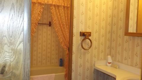 3171 N Cove Rd, Reading, MI 49274 photo 17