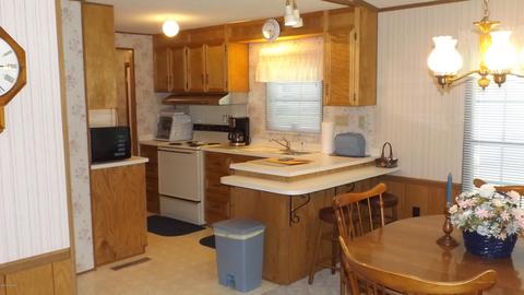 3171 N Cove Rd, Reading, MI 49274 photo 8