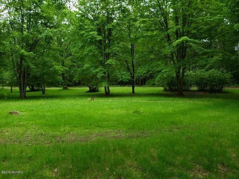 6067 E 2 Mile Rd, White Cloud, MI 49349 photo 6