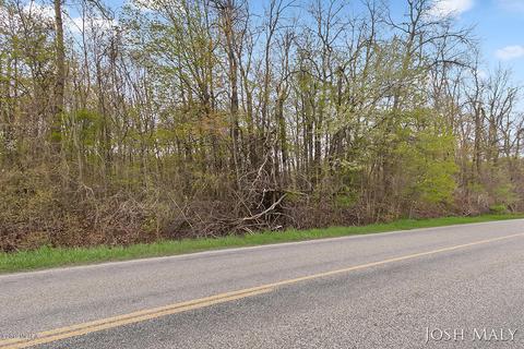 4343 Miriam Rd, Belding, MI 48809 photo 20