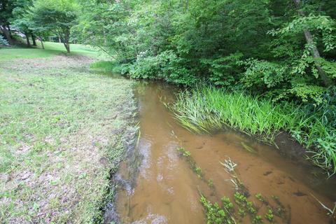 53030 Chamberlain Rd, Marcellus, MI 49067 photo 12