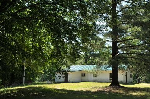 3460 E Colby Rd, Stanton, MI 48888 photo 1