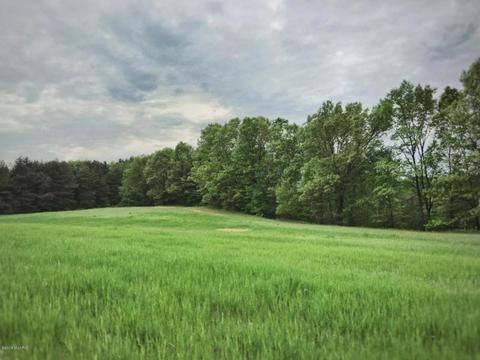 3460 E Colby Rd, Stanton, MI 48888 photo 14