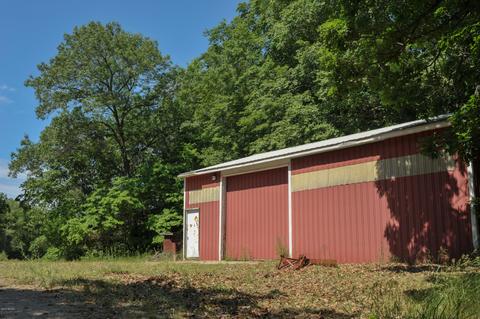 3460 E Colby Rd, Stanton, MI 48888 photo 12