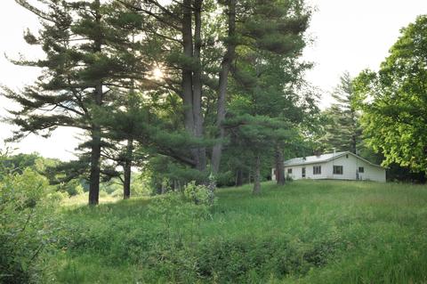 3460 E Colby Rd, Stanton, MI 48888 photo 19